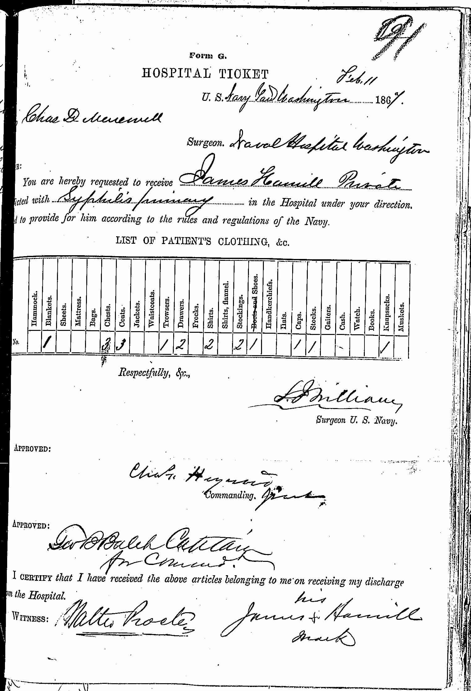 Entry for James Hamill (page 1 of 2) in the log Hospital Tickets and Case Papers - Naval Hospital - Washington, D.C. - 1865-68