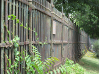 Fence - South Side - June 29, 2010