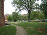 Grounds - South Side Looking East - July 27, 2010