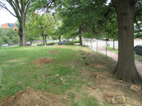 South Side Looking East, Showing Fence Footings - July 27, 2010