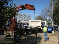 Geothermal/HVAC--Unloading vault sections - November 8, 2010