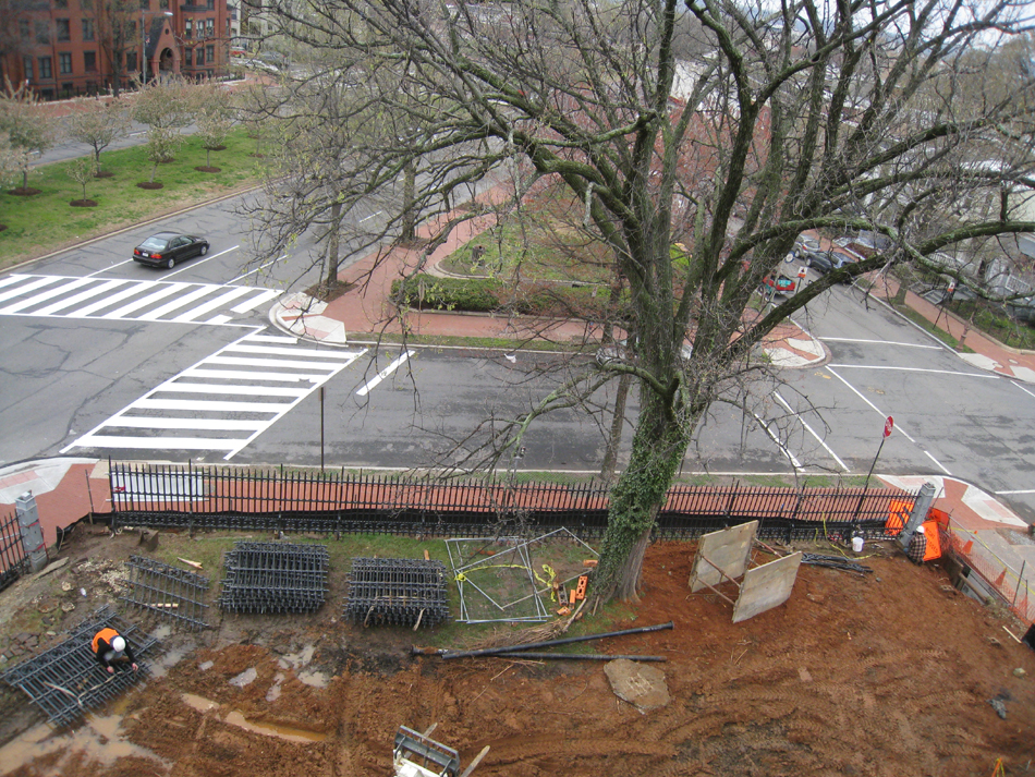 Fence--View towards Tenth Street SE - April 9, 2011