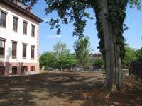 Grounds--East side looking north - June 17, 2011