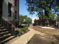 Grounds--North side of building - June 29, 2011