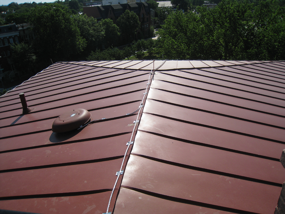 Roof--Looking east on the roof - June 29, 2011