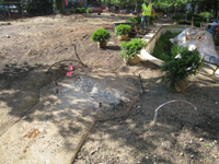 Grounds--Landscape lighting and irrigation, detail - June 29, 2011