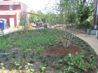 Grounds--Rain Garden with Carriage House addition being installed - July 9, 2011