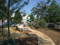 Grounds--North west corner - July 9, 2011