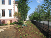 Grounds--Plantings on north side looking west from east corner - July 9, 2011