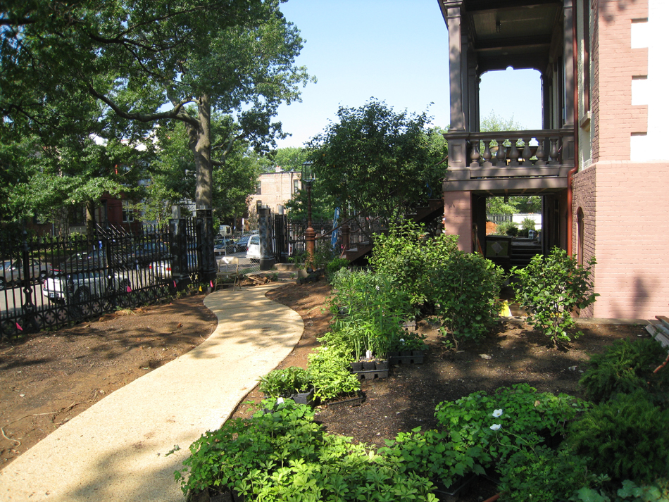 Grounds--Plantings on south side of building looking west - July 9, 2011