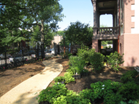 Grounds--Plantings on south side of building looking west - July 9, 2011