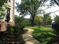 Grounds--South looking east - August 20, 2011